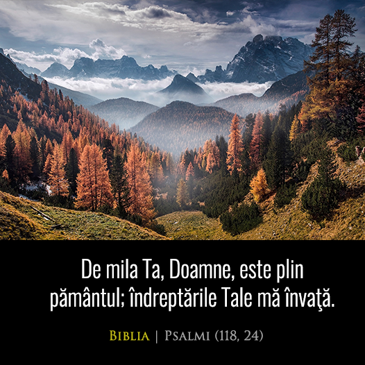 Psalmi, Capitolul 118, 24